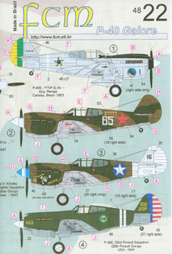 FCM 1/48 P-40s Galore