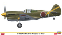 Hasegawa P-40 Warhawk