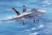 Hasegawa EA-18G Growler